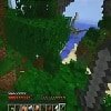 Minecraft Hunger Games